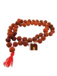 rudraksha, rudraksha mala, rudraksha tree, rudraksh, ek mukhi rudraksha, rudraksha ek mukhi, rudraksh tree, original rudraksha, rudraksha original, 1 mukhi rudraksha, ek mukhi rudraksh, rudraksha 1 mukhi, panch mukhi rudraksha, panchmukhi rudraksha, rudraksha benefits, 5 mukhi rudraksha benefits, benefits of rudraksha, rudraksh ki mala, rudraksha mala original, rudraksha plant, 5 mukhi rudraksha, benefits of 5 mukhi rudraksha, rudraksha 5 mukhi, price of rudraksha, rudraksha price, rudraksham, rudraksha chains