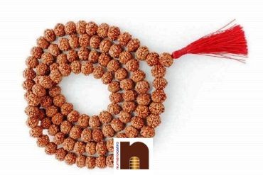 9 Mukhi | Nine Faced Rudraksha Mala (Indonesian Java Beads) with Lab Certificate (1 Pc)