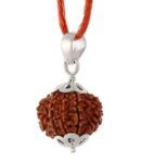 13 Mukhi Rudraksha | Thirteen Faced Rudraksha Pendant With Lab Certificate (Indonesian) (Small Bead) (1 Pc)