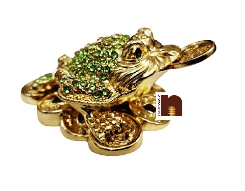 Bejeweled Tortoise 1 wm