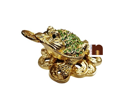 Bejeweled Tortoise 2 wm