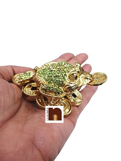 Bejeweled Tortoise 3 wm