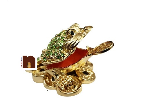 Bejeweled Tortoise 4 wm