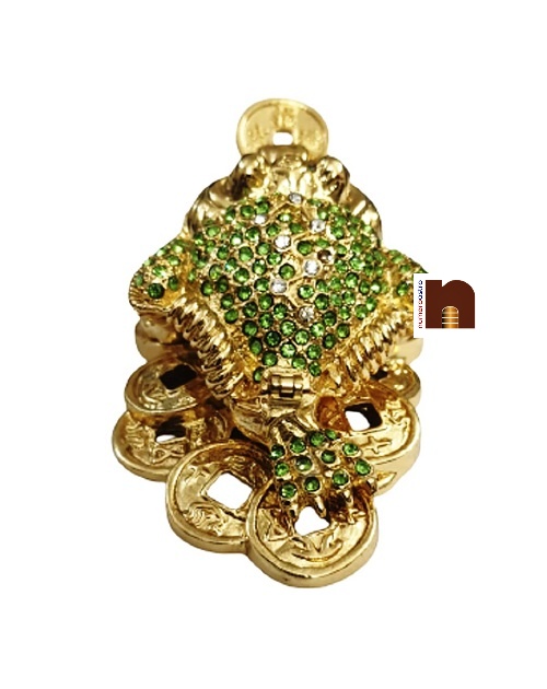 Bejeweled Tortoise 5 wm