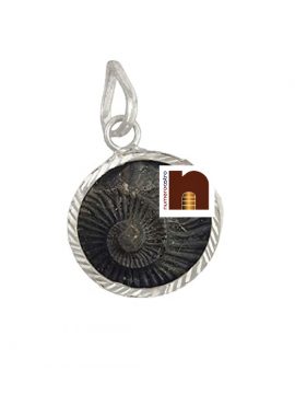 Shaligram-Pendant-wm 4