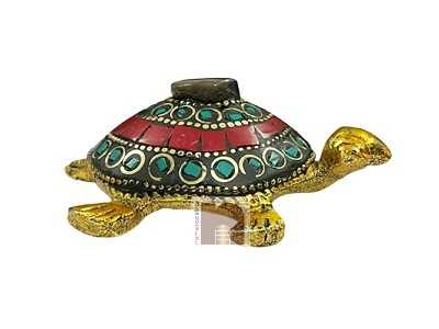 Turtle-Showpiece-1WM