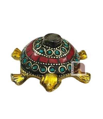 Turtle-Showpiece-6WM