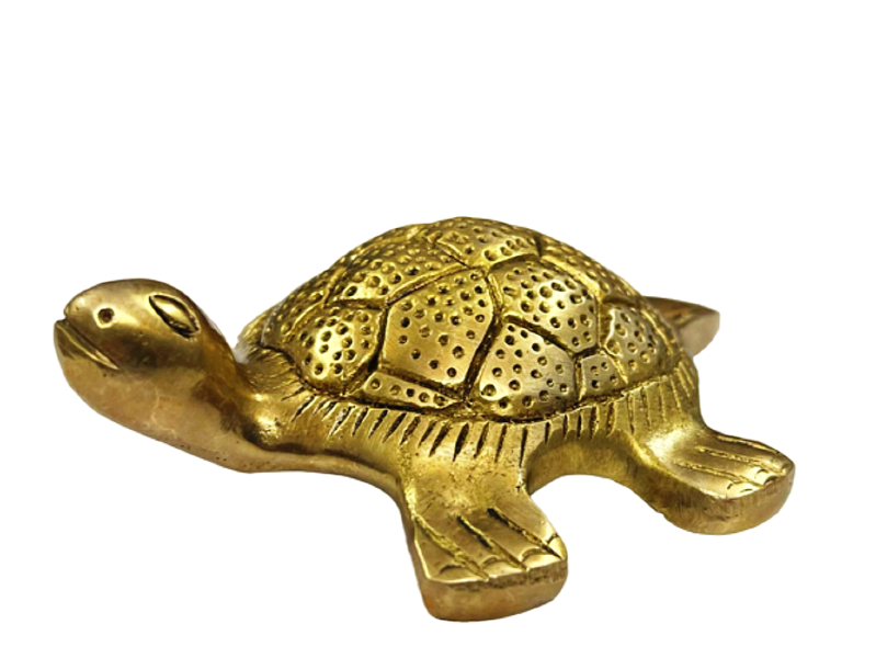 brass-tortoise-hollow-10_prev_ui.png