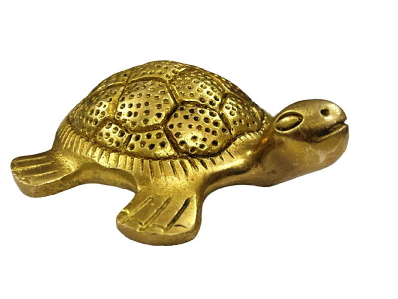 brass-tortoise-hollow-12_prev_ui.png