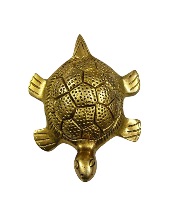 brass-tortoise-hollow-3_prev_ui.png
