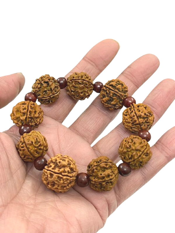 compressed-bracelet-5-mukhi-rudraksha-with-red-chandan-10br.png