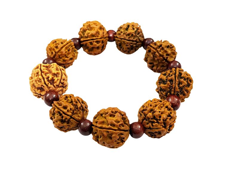 compressed-bracelet-5-mukhi-rudraksha-with-red-chandan-3br.png