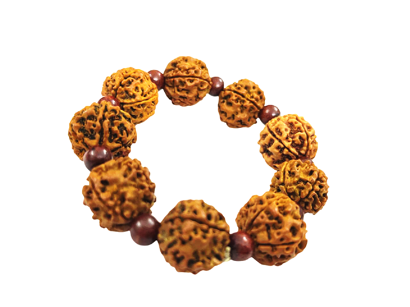 compressed-bracelet-5-mukhi-rudraksha-with-red-chandan-9br.png