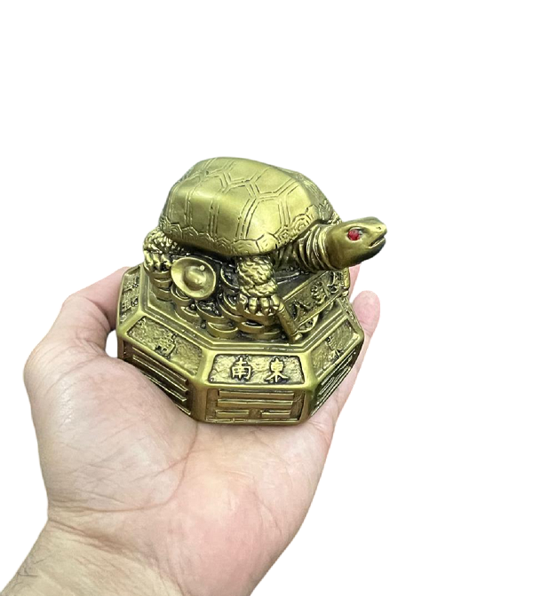 compressed-feng-shui-tortoise-on-coins-11br.png