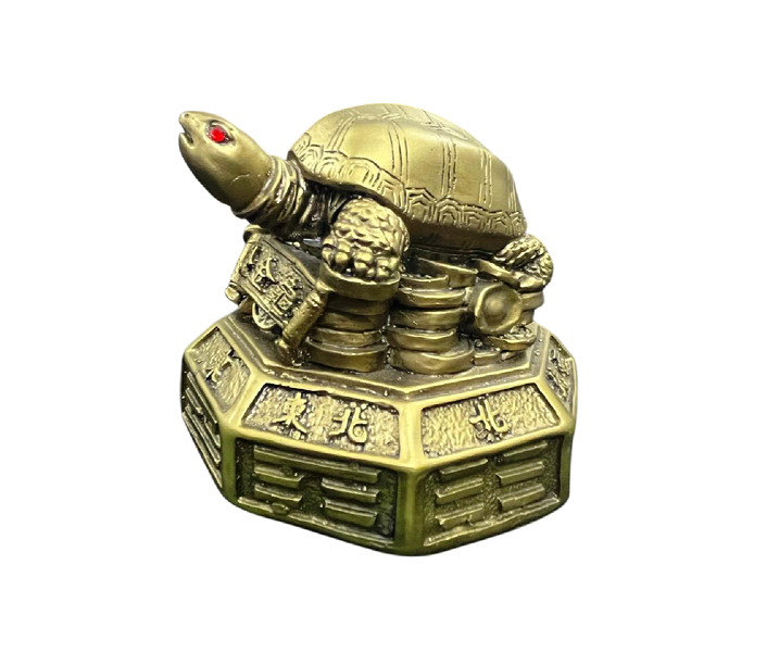 compressed-feng-shui-tortoise-on-coins-1br.png