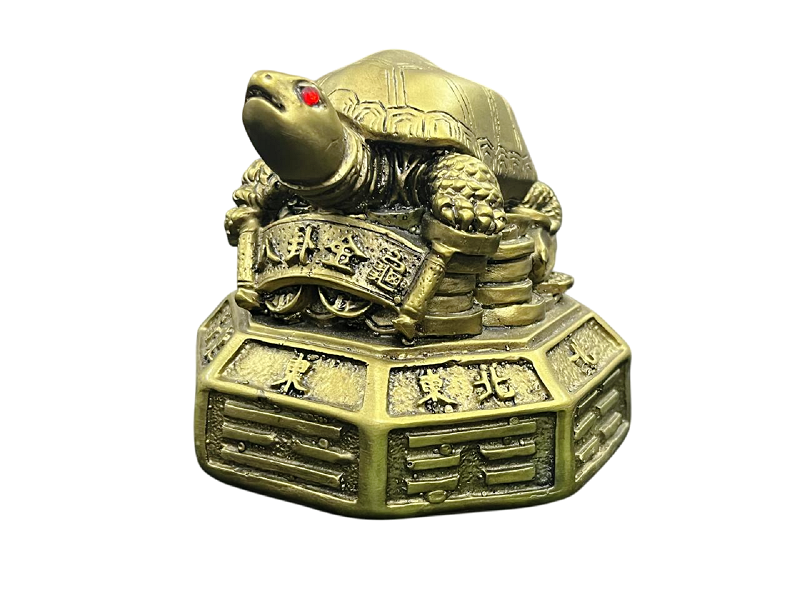 compressed-feng-shui-tortoise-on-coins-7br.png