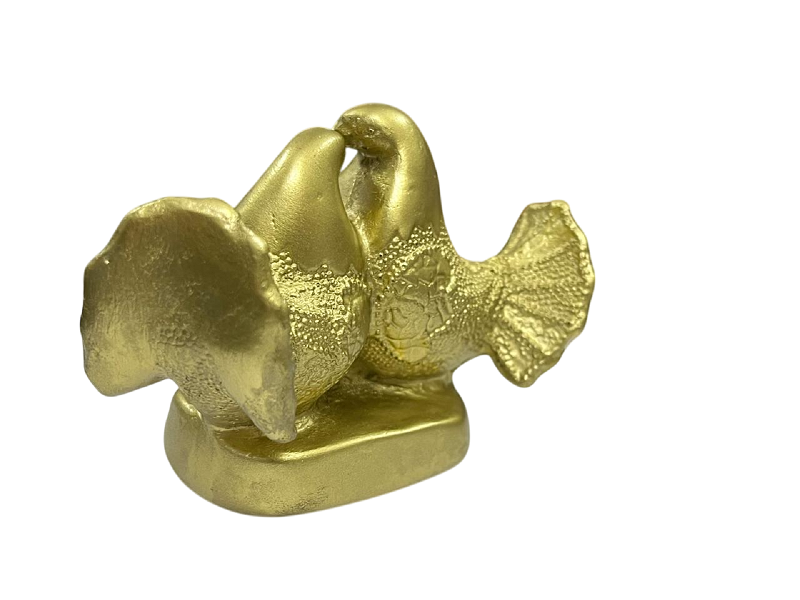 compressed-love-birds-golden-5br