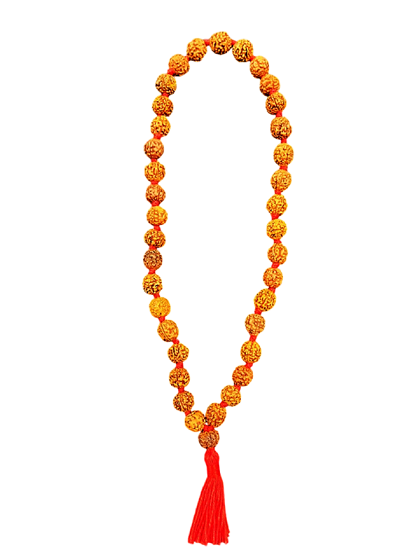 compressed-rudraksha-mala-10-mm-36-beads-1br