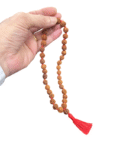 5 Mukhi Rudraksha Mala for Jaap (10 MM) (36+1=37 Beads) (1 Pc)