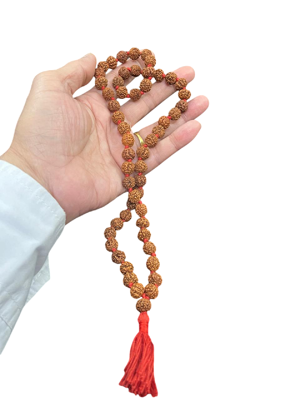 compressed-rudraksha-mala-54-beads-10-mm-4br