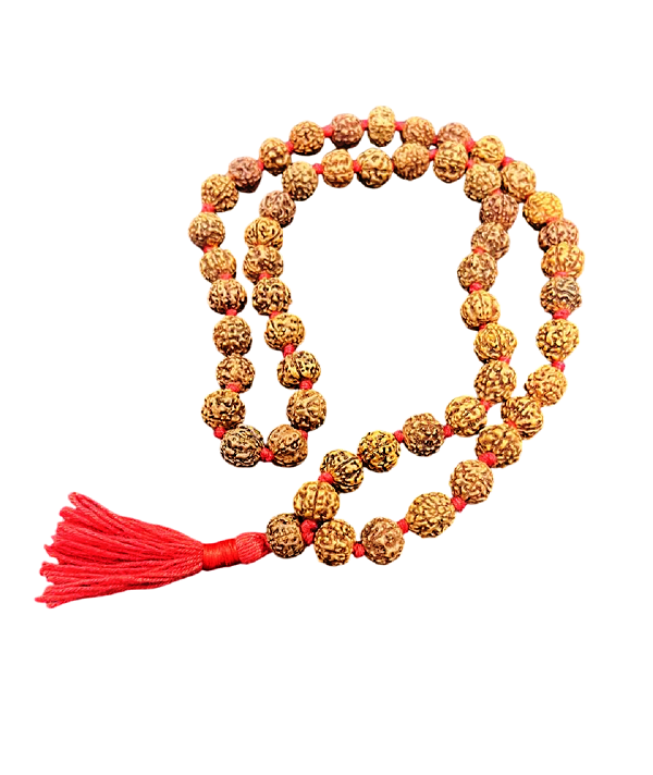 compressed-rudraksha-mala-54-beads-10-mm-6br