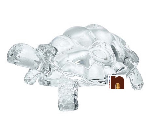 crystal-tortoise-1.jpeg