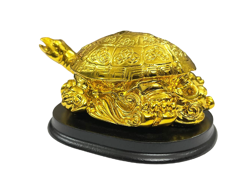 feng-shui-tortoise-golden-6br-07872576.png