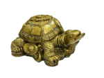 Feng Shui Vastu Tortoise | Turtle On Ingot & Lucky Coins Showpiece in Polyresin (10 Cms) (1 Pc)