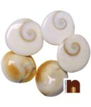Gomti Chakra Big (Set Of 5) ? 2 Cms