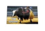 Fridge Magnet | Magnetic Sticker in Rubber for Kitchen & Home Decor (Yak Manali) (10 Cms) (1 Pc)