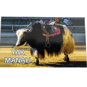 Fridge Magnet | Magnetic Sticker in Rubber for Kitchen & Home Decor (Yak Manali) (10 Cms) (1 Pc)