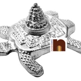 Parad | Mercury Tortoise | Turtle | Kachua Shri Yantra for Puja (35 Grams Approx) (1 Pc)
