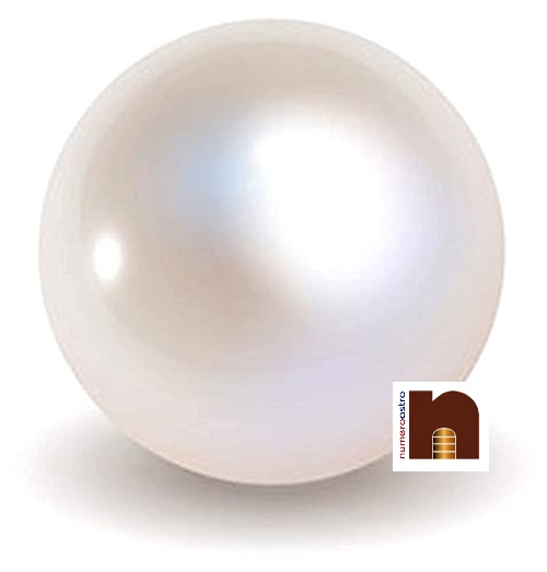 pearl-moti-2-wm.jpg
