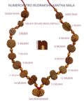 1-14 Mukhi Rudraksha Kantha Mala With 1 Mukhi Round Nepali Bead (Lab X-Ray Report) ( Energized & Siddha Mala)