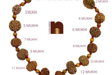 1-14 Mukhi Rudraksha Kantha Mala With 1 Mukhi Round Nepali Bead (Lab X-Ray Report) ( Energized & Siddha Mala)