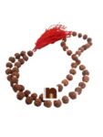 rudraksha, rudraksha mala, rudraksha tree, rudraksh, ek mukhi rudraksha, rudraksha ek mukhi, rudraksh tree, original rudraksha, rudraksha original, 1 mukhi rudraksha, ek mukhi rudraksh, rudraksha 1 mukhi, panch mukhi rudraksha, panchmukhi rudraksha, rudraksha benefits, 5 mukhi rudraksha benefits, benefits of rudraksha, rudraksh ki mala, rudraksha mala original, rudraksha plant, 5 mukhi rudraksha, benefits of 5 mukhi rudraksha, rudraksha 5 mukhi, price of rudraksha, rudraksha price, rudraksham, rudraksha chains