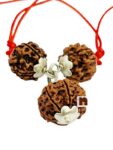 Saraswati Rudraksha Kavach Pendant For Education With Natural & Original 4 Mukhi Rudraksha | 6 Mukhi Rudraksha Pendant With Lab Certificate (1 Pc)