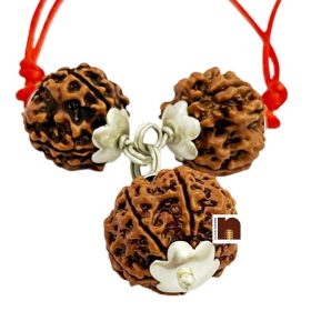 Saraswati Rudraksha Kavach Pendant For Education With Natural & Original 4 Mukhi Rudraksha | 6 Mukhi Rudraksha Pendant With Lab Certificate (1 Pc)